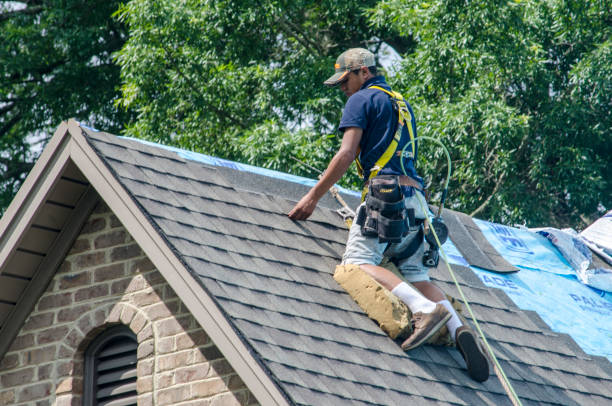 Best Roof Repair Services  in Buchanan, GA